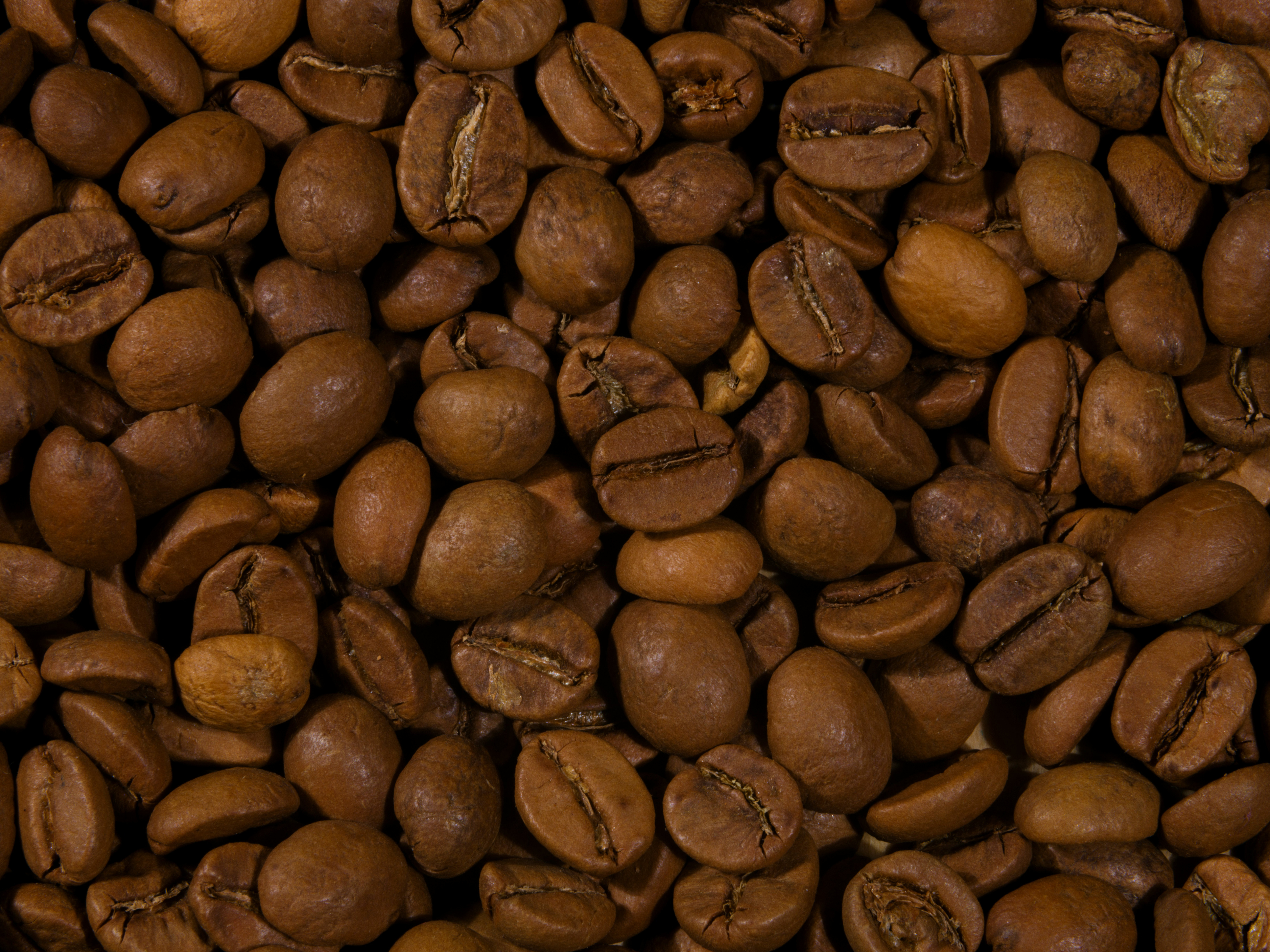 Gourmet Coffee Beans